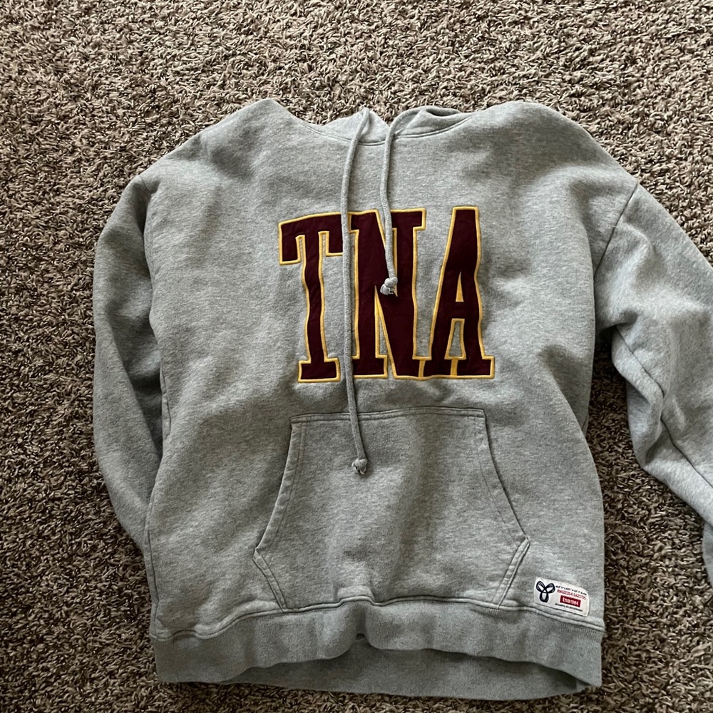 Aritzia TNA Hoodie Gray